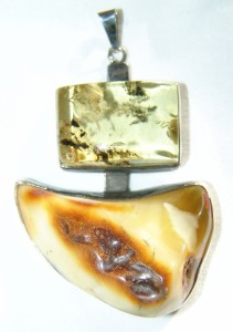 2VI2008 029 (1)